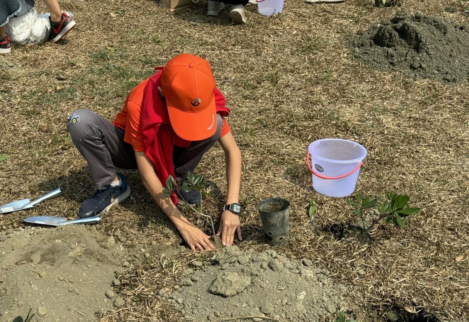 114年「手植希望 綠網相連」植樹節活動報名開跑